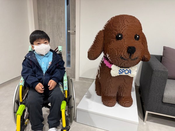 A班_外出活動愛護動物協會