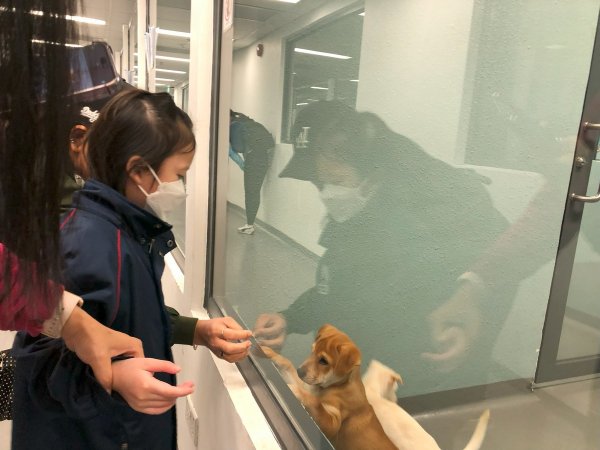 A班_外出活動愛護動物協會