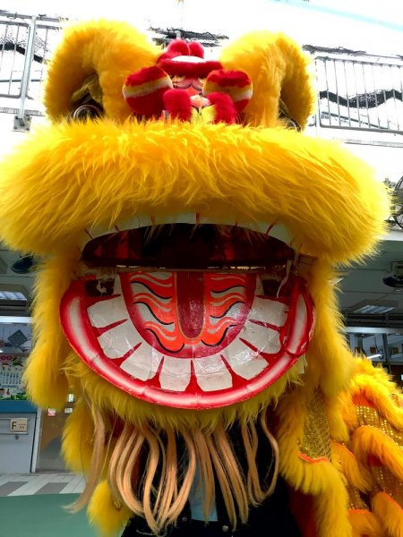 多元智能-舞龍舞獅工作坊