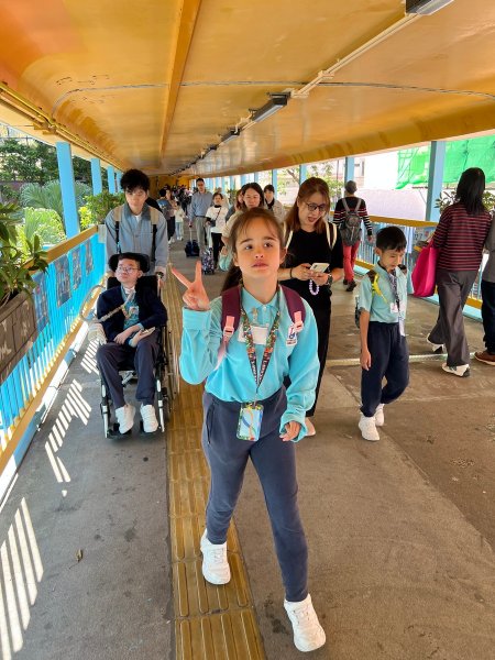 參觀「香港多面體」展覽