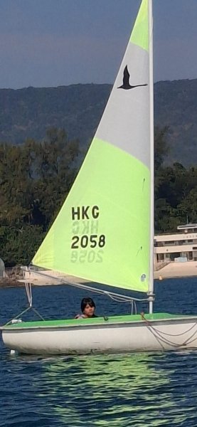 Sailability 帆船訓練