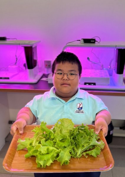 水耕種植-C班