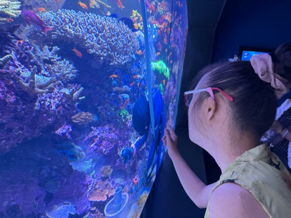D2.05_參觀新加坡海洋生態館Singapore Oceanarium