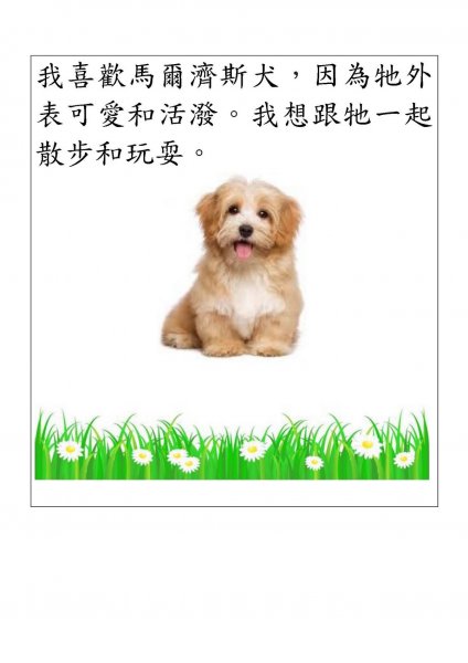 羅韻詩中文科作品 P2