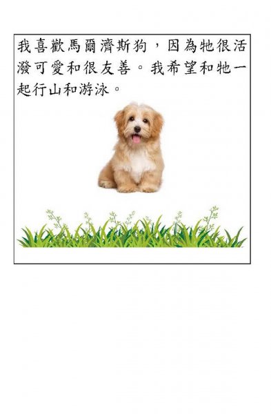 K班 譚智揚中文科作品 P2