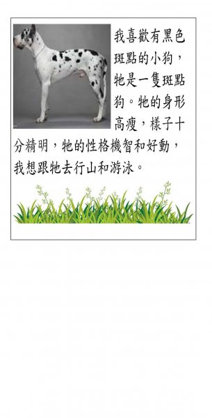 K班 譚智揚中文科作品 P3